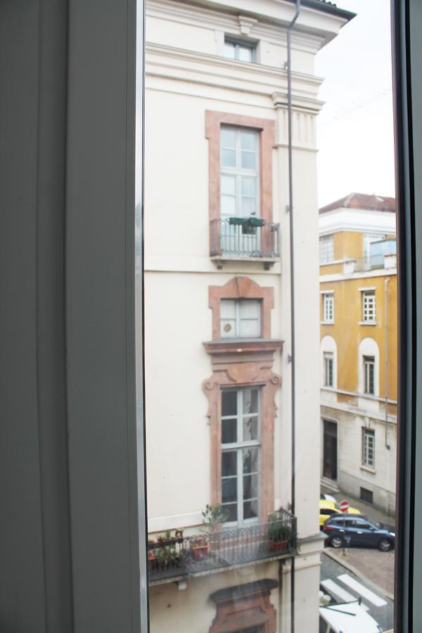 Rapanus Torino